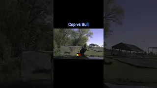 Cop vs Bull