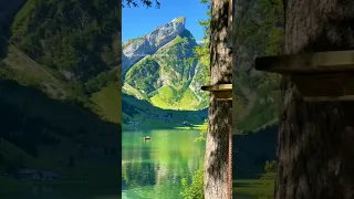 Swiss Beauty💚 Beautiful Nature 01 - Switzerland #nature #naturelovers #shorts #swissbeauty