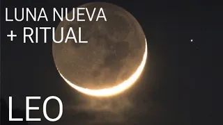 LEO LUNA NUEVA 🌑 + RITUAL…UN RESULTADO DE ORO!!!…🙌🏻☀️🙌🏻