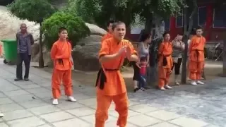 Démonstration Kungfu Shaolin au temple Fawang