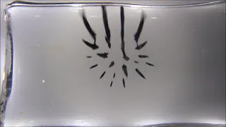 3D-Ferrofluid-Audio-Visualizer playing acoustic guitar