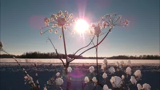 Царство снежной королевы