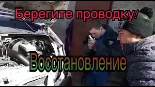 Берегите проводку! Восстановление.