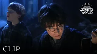 Follow the Spiders | Harry Potter and the Chamber of Secrets