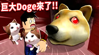 Roblox 恐怖跑酷冒險 千萬別被Doge頭抓到🤣 幫助可憐的小Popcat回家吧！？逃離Doge頭(Doge Head Escape)｜【至尊星】