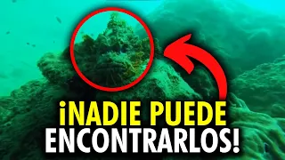 Top 10 Animales con CAMUFLAJES más INCREÍBLES