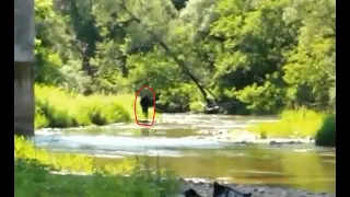 Bigfoot Captured on Video Watching People Fish