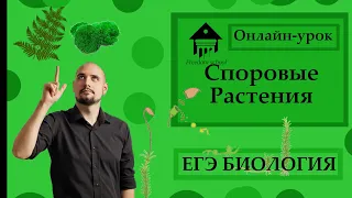 МХИ, Хвощи, Плауны, ПАПОРОТНИКИ для ЕГЭ 2023 |ЕГЭ БИОЛОГИЯ|Freedom|