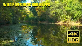 WILD RIVER IN 4K HDR 60 FPS (ULTRA HD) IN UKRAINE ZAPORIZHZHYA