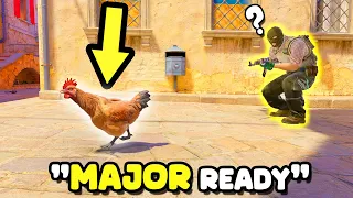 "CHICKENS SHOULD BE BANNED ON MAJOR!" - CS2 BEST MOMENTS