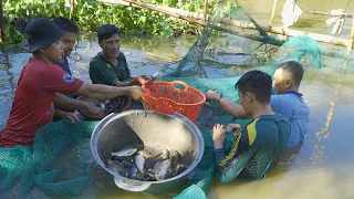 Về Miền Tây "Dở Chà" Cá Nướng Nhậu "Lai Rai" | Nét Quê #419