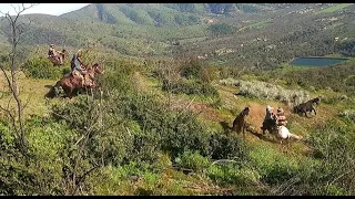 Laceadores de cerro #19