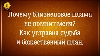 Почему близнецовое пламя не помнит меня? Как устроена судьба и божественный план. Александр Шемец