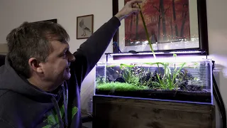 How I Got My Aquatic Plants To Grow Tall (Not What You Think)