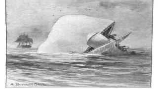 Moby Dick By Herman Melville Audio Book Chapter 135