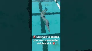 Evaluate your own dolphin kick.