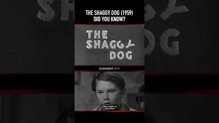 Did you know THIS about THE SHAGGY DOG (1959)? Part Three