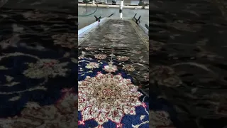 Color Run on Persian Carpet