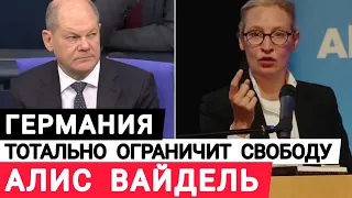 Алис Вайдель. Германия тотально ограничит свободу. Большие проблемы Германии