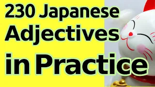 Practice: 230 Important Japanese Adjectives