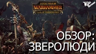 Total War: Warhammer Зверолюди  ● Обзор