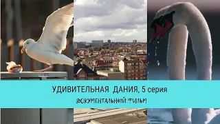 Удивительная Дания, 5 серия / Рейтинг 9,8 / Документальный фильм (2020)