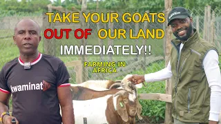 I MOVED FROM USA TO OPEN THE BIGGEST GOAT FARM IN GHANA BUT NOW!!!