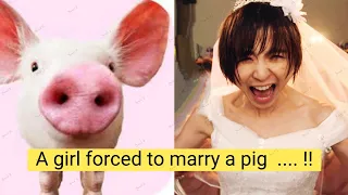 "Wedding Day Surprise: Girl Awakens to Marry a Pig?! | Movie Recap 😨