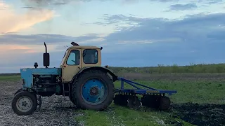 Дискуем огороды на тракторе ЮМЗ, разравниваем огороды