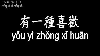 【唱歌學中文】►周子琰 – 有一種喜歡◀ ► zhōu zǐ yǎn - yǒu yì zhǒng xǐ huān◀『陪你從白天到黑夜 隨時光漫遊』【動態歌詞中文、拼音Lyrics】