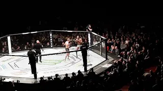 Jon Jones v gustafsson pelea full completa fight