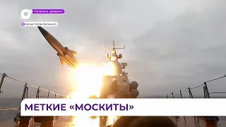 Боевые стрельбы провели более 20 надводных кораблей и судов обеспечения ТОФ