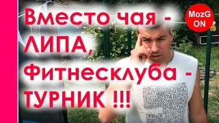 Жить с умом: вместо ЧАЯ - ЛИПА, вместо ФИТНЕС клуба - ТУРНИК.