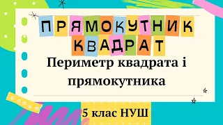 Прямокутник.  Квадрат.  Периметр квадрата і прямокутника. 5 клас НУШ