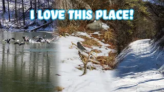 POV Nature, Wildlife and Lake Photography In Winter