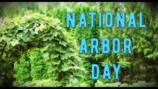 National Arbor Day (last Friday in April), Activities and How to Celebrate National Arbor Day