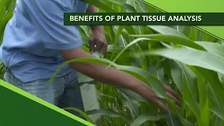 Ag PhD Show #1109 (Benefits of Plant Tissue Analysis)