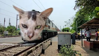 Furious Angry CAT Headed Trains Dangerous Aggressive Skipping Through Out Railgate