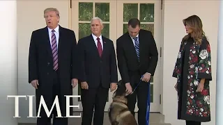 President Trump Brings Conan, Military Dog Injured In al-Baghdadi Raid, To White House | TIME