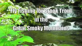 Fly Fishing for Brook Trout in the Smoky Mountains - Advice From the Guides