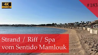 Strand / Unterwasserwelt / Spa / Gym vom Sentido Mamlouk Palace Resort | Ägypten 2023 (Vlog #183)