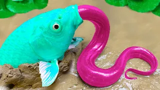 다채로운 똑똑한 점박이 물고기 실험 애니메이션, 무지개 장어/ ASMR 스톱모션 요리 Funny Video