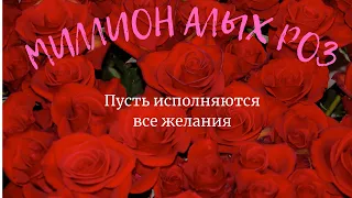 Музыка для расслабления миллион алых роз Пугачева 🌿из окна видишь ты музыка для поднятия настроения
