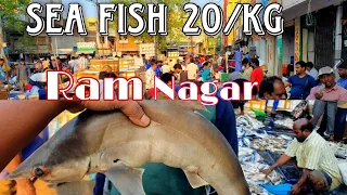 Hyderabad Fish Market