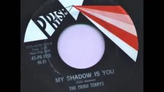 The Tribu Terrys - My Shadow Is You