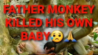 Father Monkey Killed His Owned Baby | BABY MONKEY (R.I.P)😥🙏