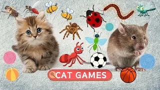 CAT Games | Collection Of The Most Interesting Cat Games | 1 HOURS 🐝🐞🦋🐜🐭
