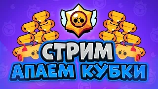 ПУШИМ ТОП 1 МИРА ПО КУБКАМ ВМЕСТЕ С ПОДПИСЧИКАМИ! СТРИМ БРАВЛ СТАРС