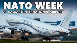 "NATO Week" at Calgary International Airport! Military Plane Spotting [4K]