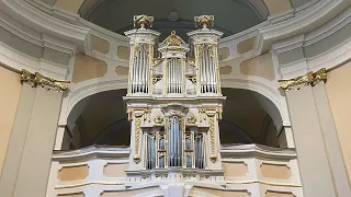 1790 Pažicky Organ in Mocenok, Slovakia | Improvisations on Stops | Georg Muffat: Toccata Septima